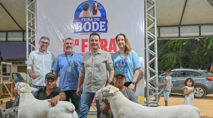 17ª Feira do Bode de Massaroca segue até este domingo (23) promovendo tradição, negócios e a valorização de quem vive do campo