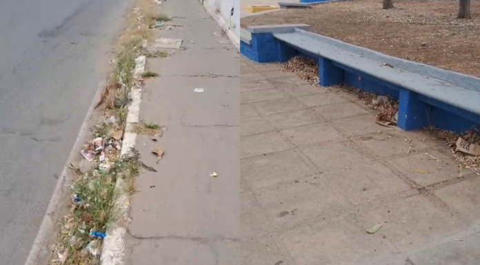 Morador reclama de falta de limpeza e capina nas avenidas do Castelo Branco, em Juazeiro: “a sujeira está tomando conta”