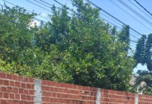 Carro furtado durante a madrugada desta quinta-feira (24) no bairro João XXIII, em Juazeiro, é recuperado poucas horas após o crime