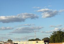 Problema generalizado: Moradores do Residencial Santo Expedito, em Juazeiro, denunciam presença de cães soltos e pedem providências