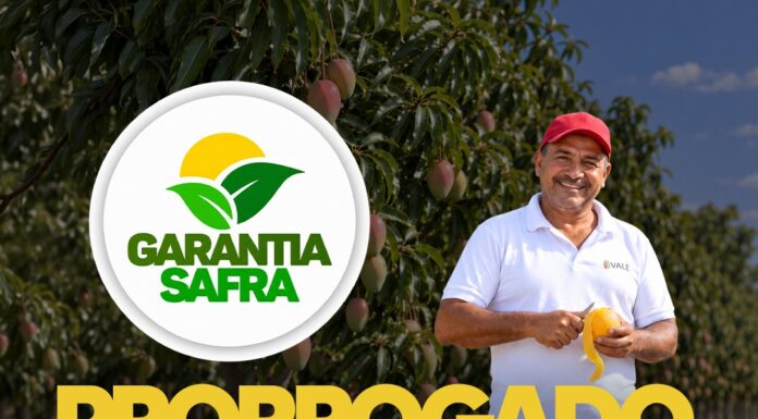 Prazo para inscrição no programa Garantia- Safra é prorrogado até o dia 21 de outubro