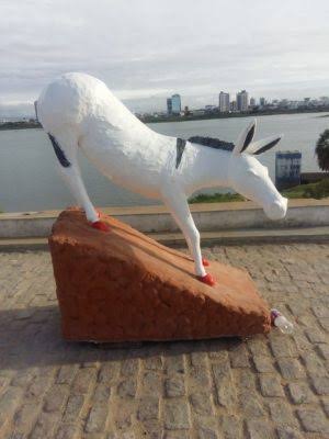 images (87)