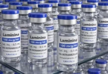 Testes clínicos fase 1 da polilaminina começam este mês; substância ajuda a recuperar movimentos em pessoas com lesão medular