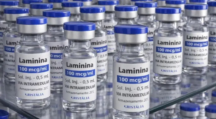 Testes clínicos fase 1 da polilaminina começam este mês; substância ajuda a recuperar movimentos em pessoas com lesão medular