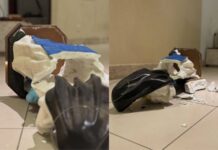 Imagem de Santa Dulce dos Pobres é destruída dentro de igreja em Salvador