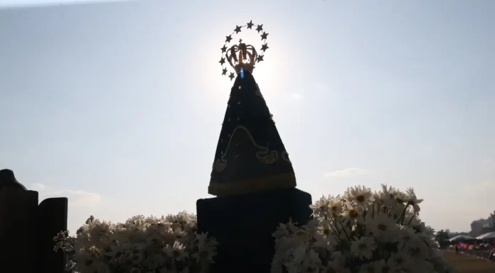 Dino manda PF investigar disseminação de ataques a imagens católicas