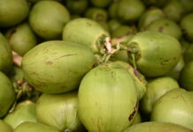 Super El Niño: Prefeitura de Juazeiro divulga cotação do Mercado do Produtor e destaca o coco na hidratação
