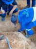 SAAE intensifica combate às ligações clandestinas