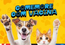 Juazeiro já vacinou mais de 17 mil animais contra a raiva e promove nova ação neste sábado (17)