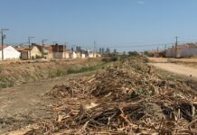 Morador do Barranqueiro critica serviço da SESP que deixou material após limpeza do canal realizada em agosto: “É como varrer a casa e esconder o lixo debaixo do tapete”