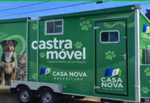Gestão Anisio Viana amplia investimentos em saúde animal com chegada de Castramóvel próprio
