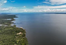 Meio ambiente e clima: Confira o que consta nos planos de governo de Flávio Bolsonaro e Lula