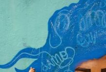 Festival de Arte Urbana do Vale do São Francisco chega à 2ª edição conectando dois bairros de Petrolina pela arte urbana; evento será de 30 a 1º de novembro